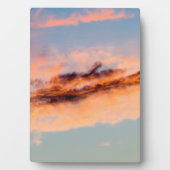 aantrekkingsverbruik fotoplaat (voorkant)