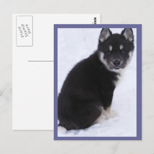Aanvaardbare Briefkaarten voor puppy #4 (Voorkant / Achterkant)