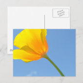 Aanvaardingsrecht Briefkaart (Voorkant / Achterkant)