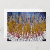 Aanval in een tempel - Zhongdian, Yunnan, China Briefkaart (Voorkant / Achterkant)