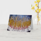 Aanval in een tempel - Zhongdian, Yunnan, China Kaart (Gele Bloem)