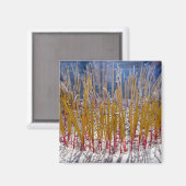 Aanval in een tempel, Zhongdian, Yunnan - China Magneet (Voorkant / Achterkant)