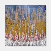 Aanval in een tempel, Zhongdian, Yunnan - China Magneet (Voorkant)