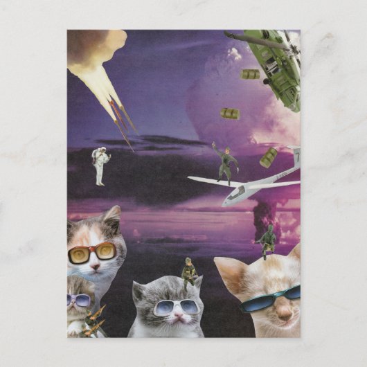 Aanval op het briefkaart van de kattenkat (Voorkant)