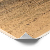 Aanval op het Grizzly Beer, 1844 George Catlin Poster (Hoek)