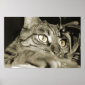 Aanval Poster (Voorkant)