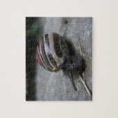 Aanval van de gigantische slak ontspannende zelfzo legpuzzel (Verticaal)