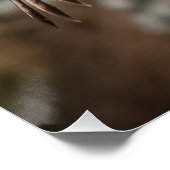 Aanvalmodi met rode staartbuik perfect poster (Hoek)