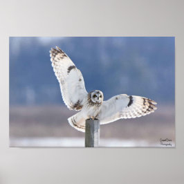 Aanvoer van haver poster