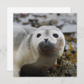 Aanvragen voor afdichtingen kaart (Voorkant / Achterkant)