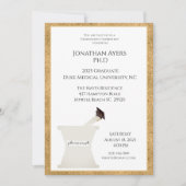 Aanvragen voor Afstuderen van de aangepast apothek Kaart (Voorkant)