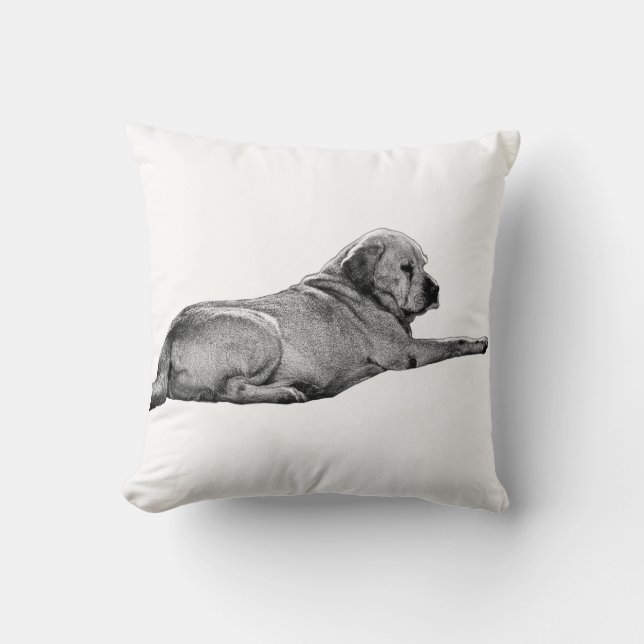 Aanwezigheid bereiken kussen (Voorkant)