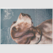  aanwijsdog met Ephemera-ontkoppeling Tissuepapier (Voorkant)