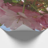 Aanzetbloemen Cadeaupapier (Hoek)