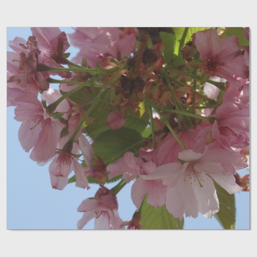 Aanzetbloemen Cadeaupapier (Vlak)