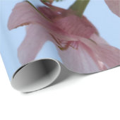 Aanzetbloemen Cadeaupapier (Rol Hoek)