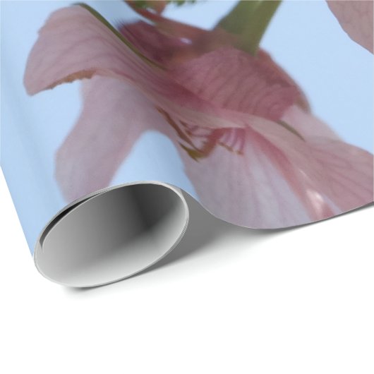 Aanzetbloemen Cadeaupapier (Rol Hoek)