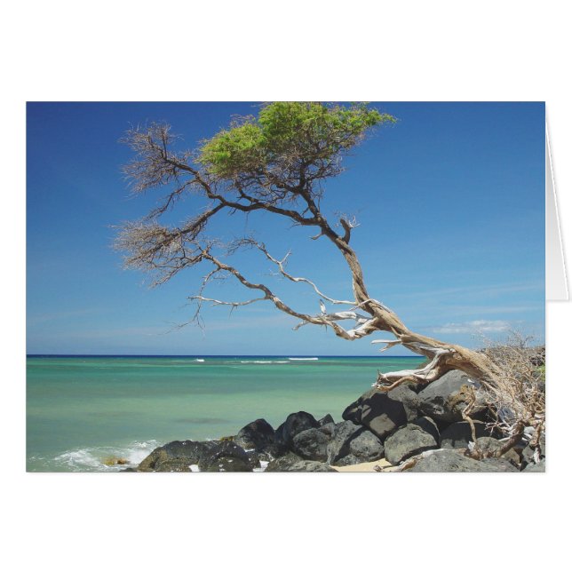 Aanzetten (Voorkant Horizontaal)