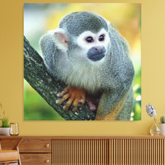 aap 004 canvas afdruk (Insitu (Woonkamer))