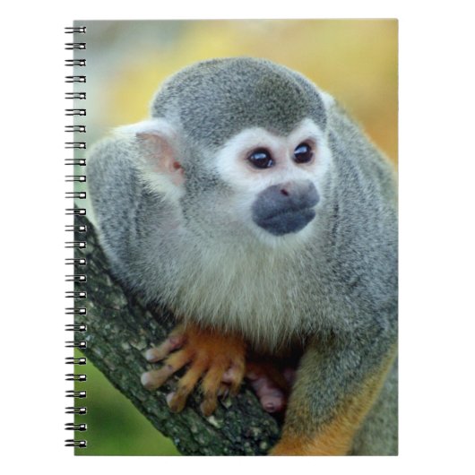 aap 004 notitieboek (Voorkant)