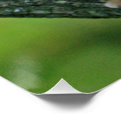 aap 004 poster (Hoek)