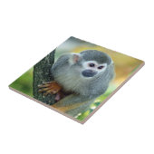 aap 004 tegeltje (Zijkant)