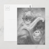 aap briefkaart (Voorkant / Achterkant)