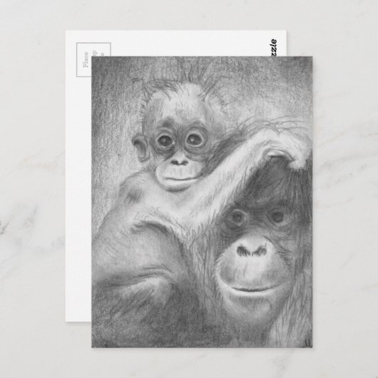 aap briefkaart (Voorkant / Achterkant)