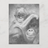 aap briefkaart (Voorkant)