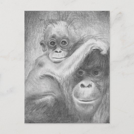 aap briefkaart (Voorkant)