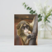 aap briefkaart (Staand voorkant)