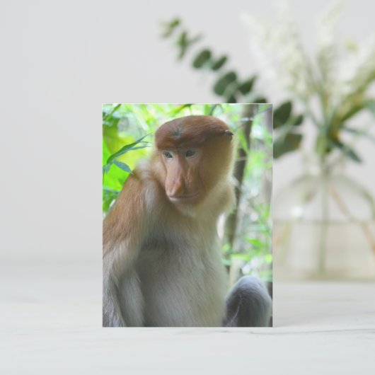 Aap Briefkaart (Staand voorkant)