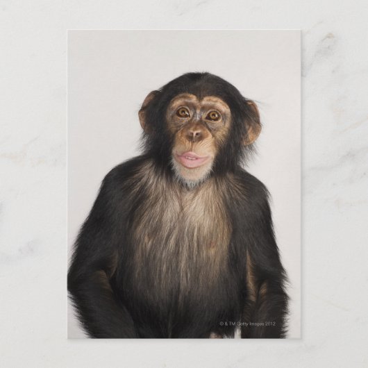 aap briefkaart (Voorkant)