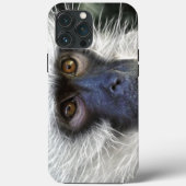 aap Case-Mate iPhone case (Achterkant)