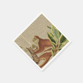 aap collage servet (Hoek)