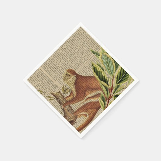 aap collage servet (Hoek)