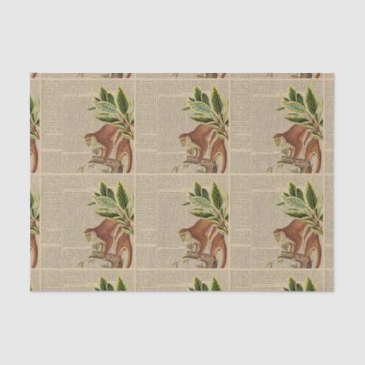  aap collage tissuepapier (Voorkant)