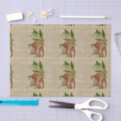  aap collage tissuepapier (Craft)