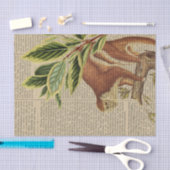  aap collage tissuepapier (Craft)