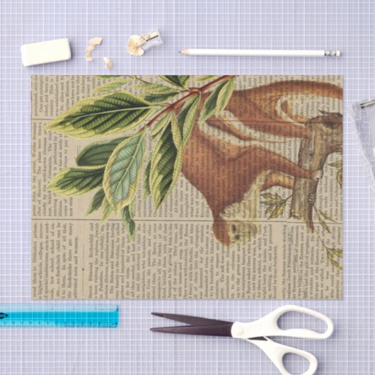  aap collage tissuepapier (Craft)