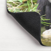 aap drink muismat (Hoek)