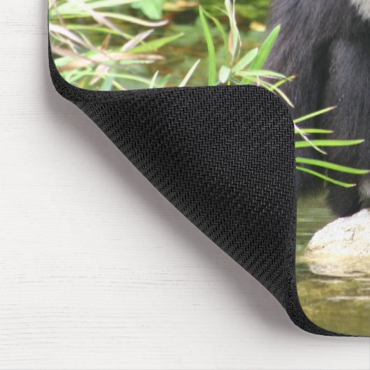 aap drink muismat (Hoek)