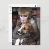 aap en hondbriefkaart briefkaart (Voorkant / Achterkant)