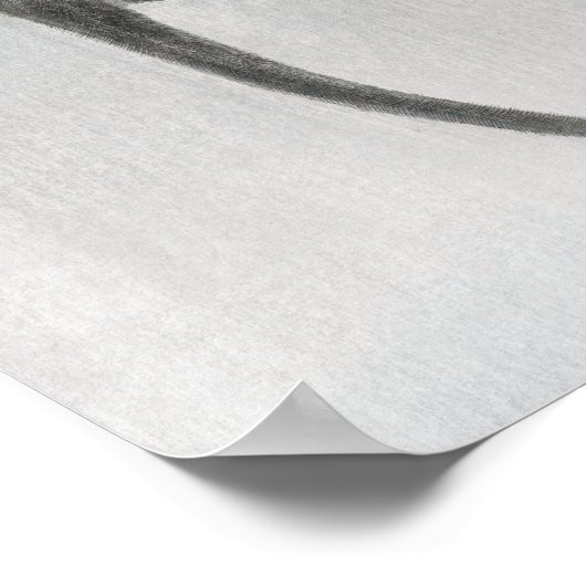  aap- en maanreflectie poster (Hoek)