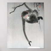  aap- en maanreflectie poster (Voorkant)