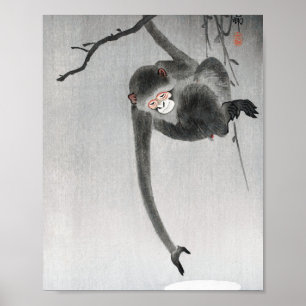 aap- en maanreflectie poster