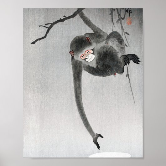 aap- en maanreflectie poster (Voorkant)