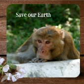 aap - grootvader bier onderzetter