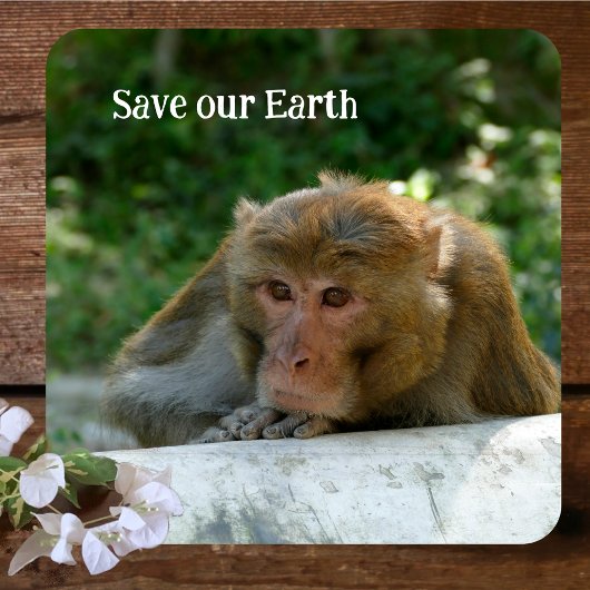 aap - grootvader bier onderzetter