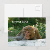 aap - grootvader briefkaart (Voorkant / Achterkant)